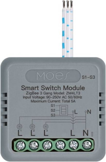 Tauoh MOES Zigbee Module Voice Control