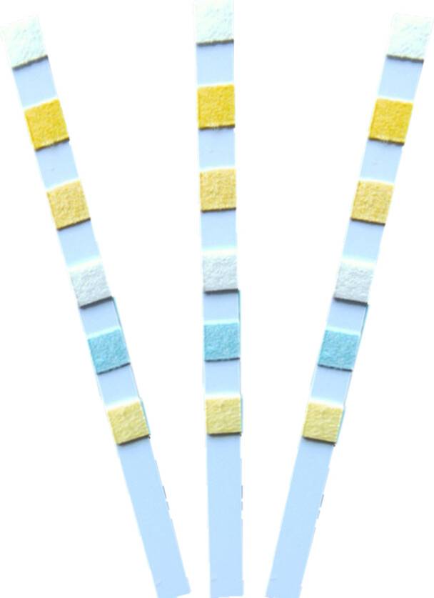 Professional 4 In 1 Pool And Spa Test Strips