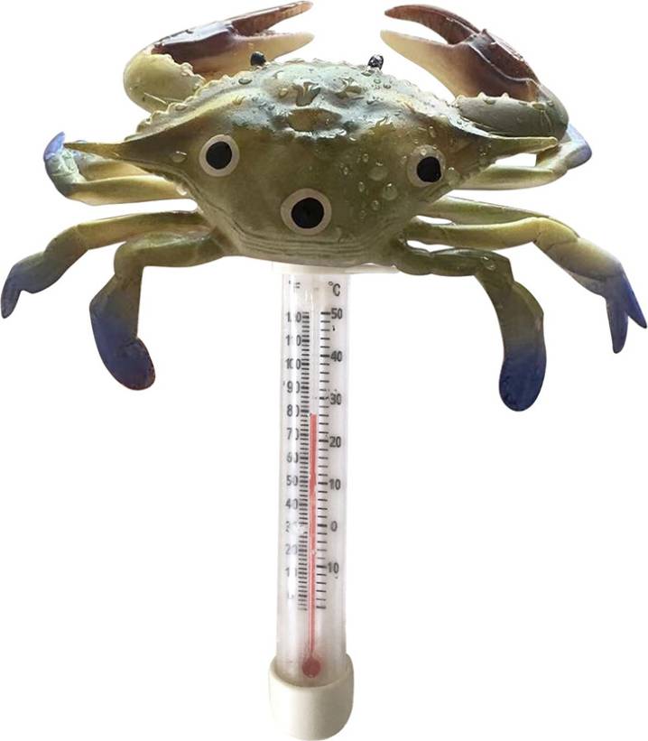 Water Temperature Measurement Floating Pool Thermometer Large Size