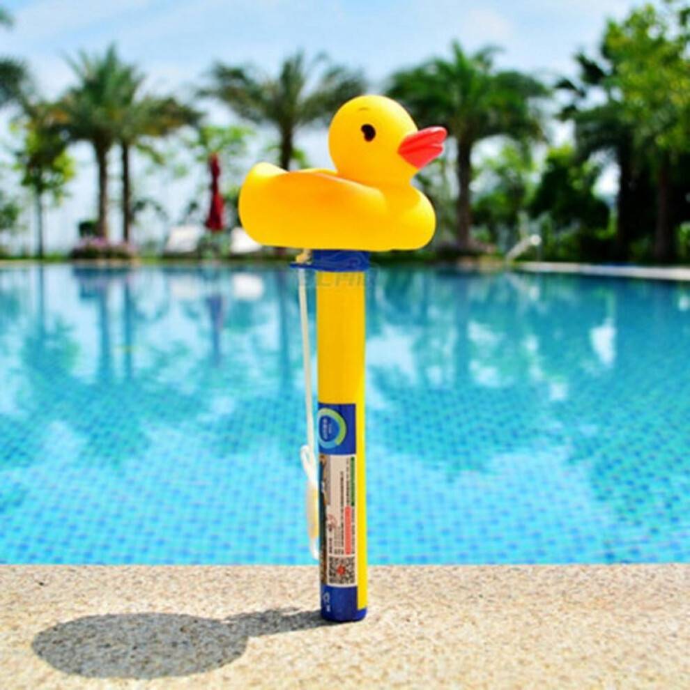Floating Pool Thermometer Shatter Resistant