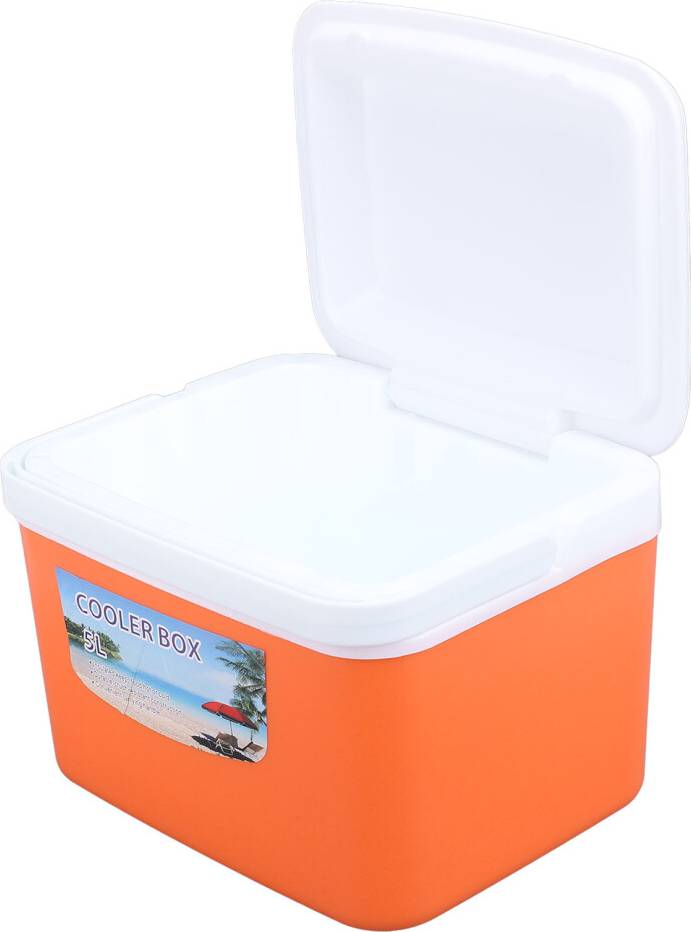 5L Hard Shell Cooler Carry
