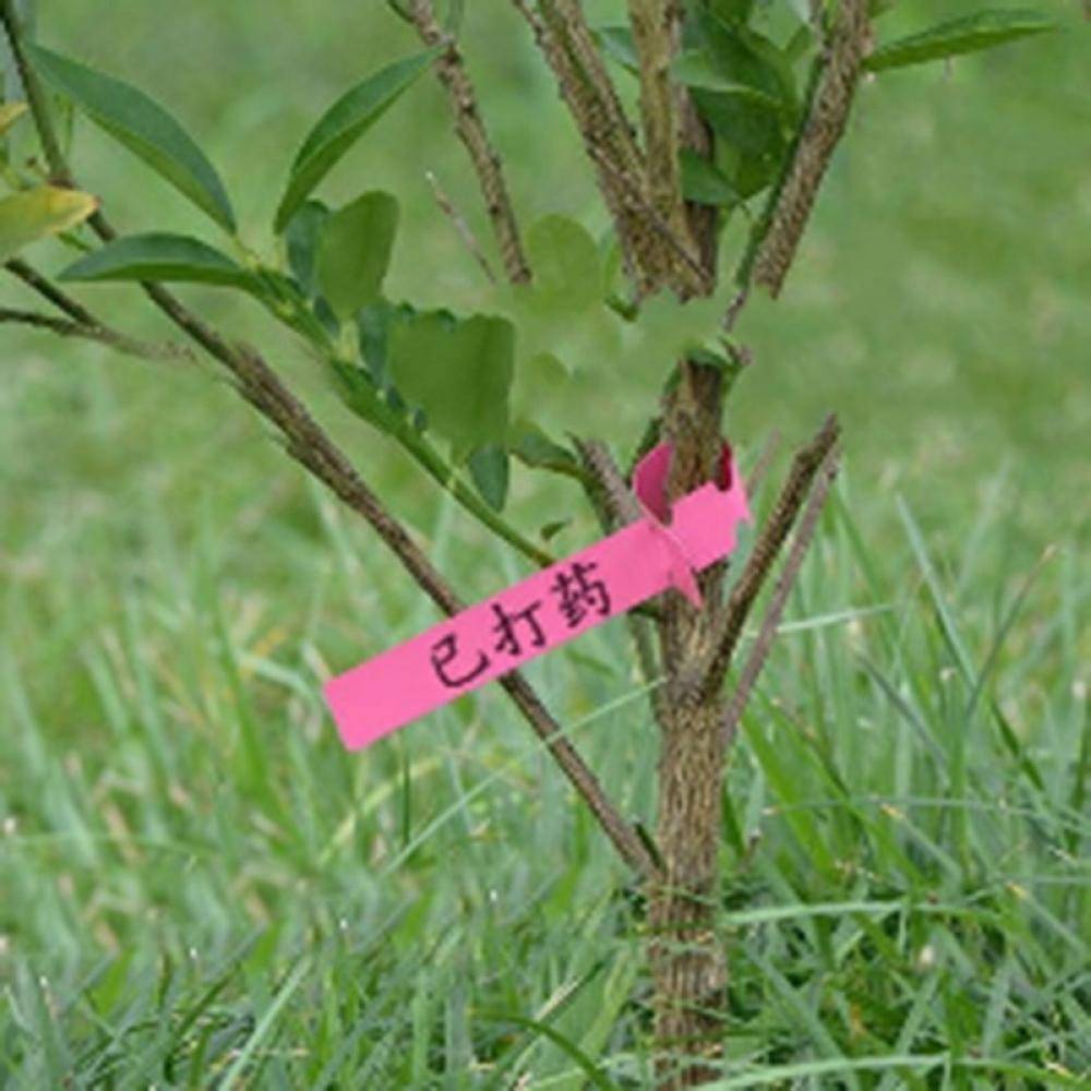 100 Plantmarkörer T-Form Rosa