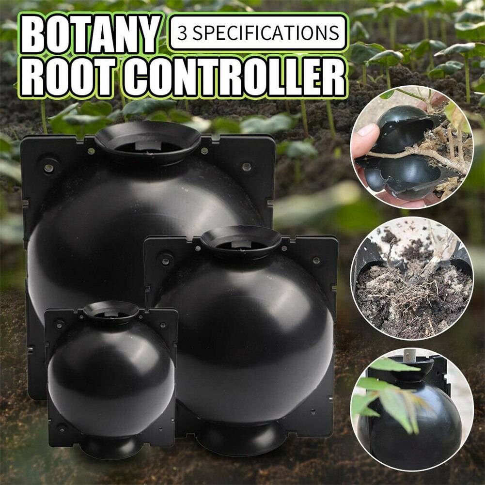 Plant Rooting Device Högtryck Svart