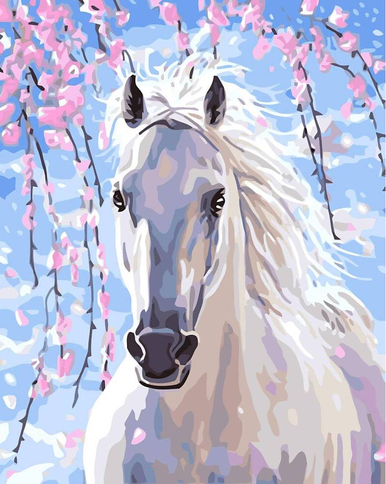 Paint by numbers Paint By Numbers Kit 16x20 Inches