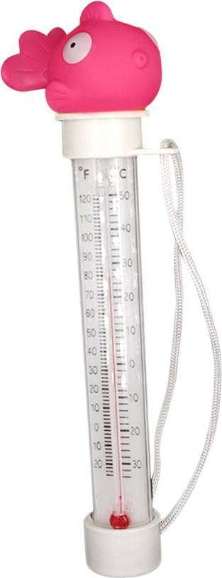 Pool Thermometer Temperature Measurement System