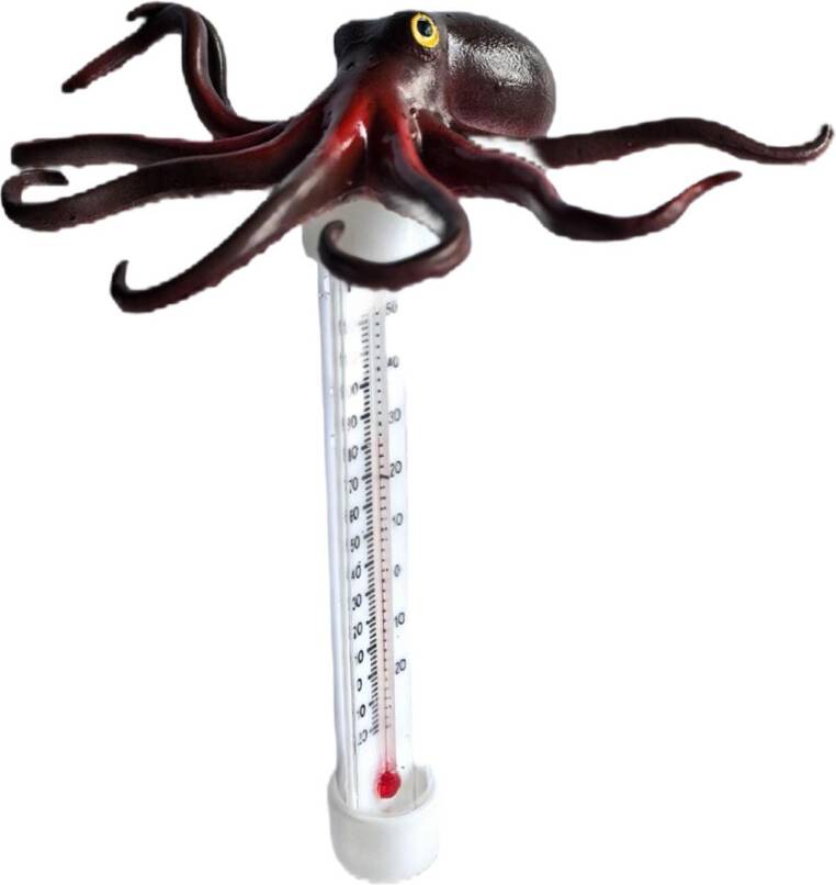 Floating Pool Thermometer Ice Bath Paddling Pool