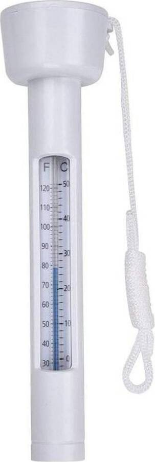 Floating Pool Water Thermometer Tester