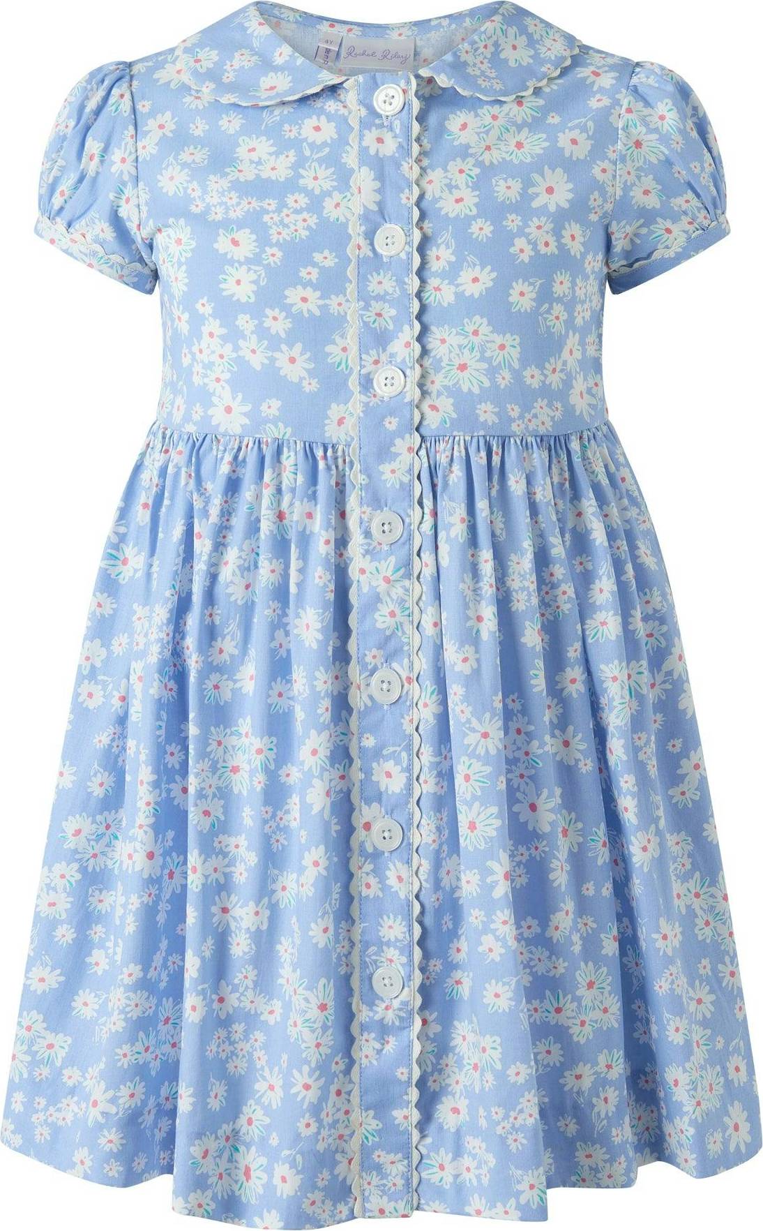 Blue Daisy Button-front Dress - Blue