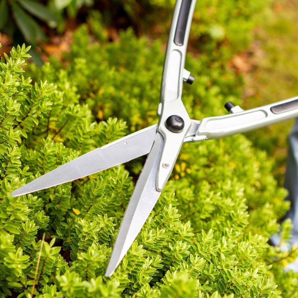 Darlac Lightweight Shear 8 Extra Long Razor Sharp Blades