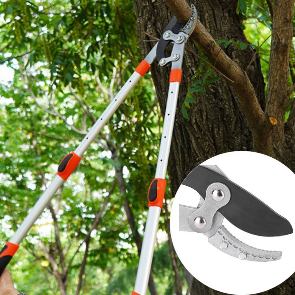 Tree Trimming Scissors Telescopic Handle