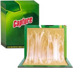 B&Q Multi Use Pest Insect Sticky Boards