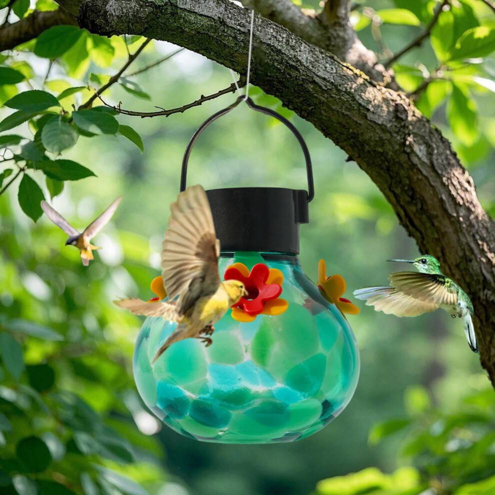 Solar Hummingbird Feeder with LED Lights