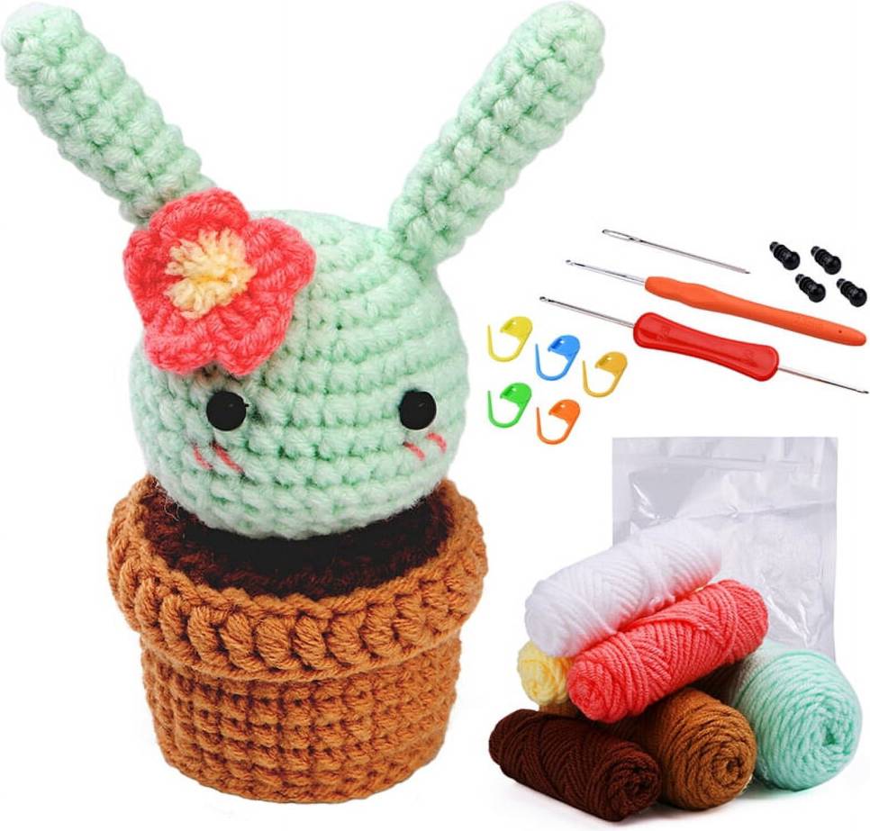 Crochet Kit for Beginners with Video Tutorials