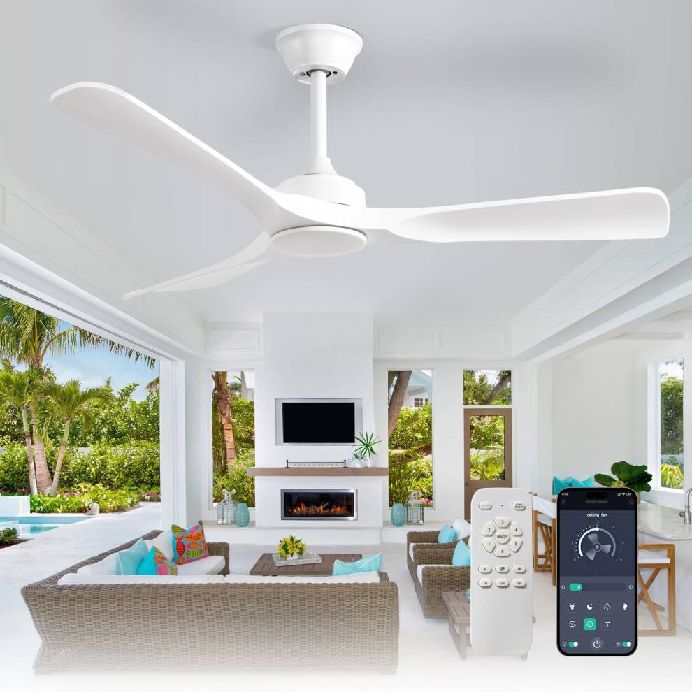 Ceiling Fan 52 Inch Outdoor Fan