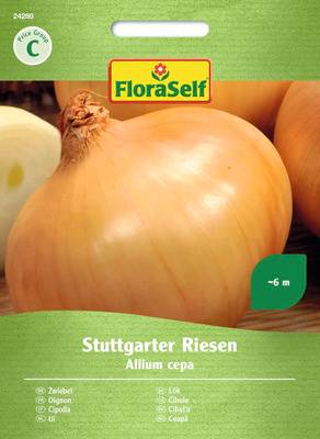 FloraSelf Lökfrön Stuttgarter Riesen