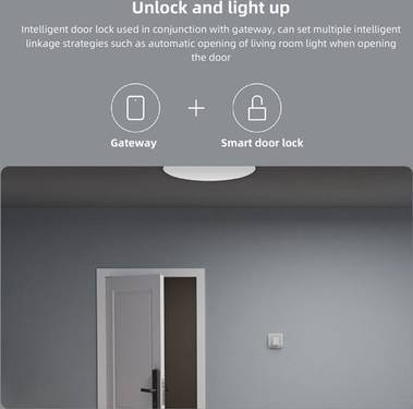 Bluetooth Gateway 2.4GHz Wifi Remote Control