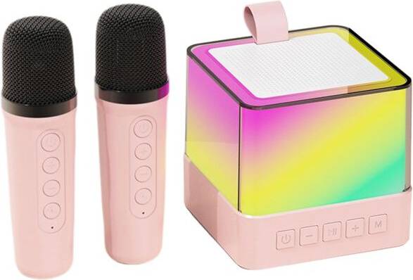 Torribaly Wireless Microphone Speaker System