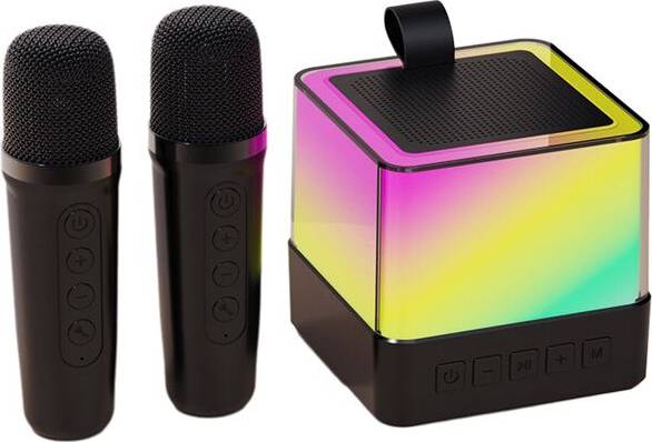 Torribaly Wireless Microphone Speaker System