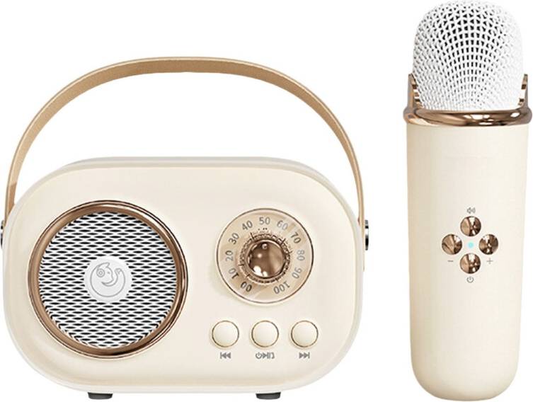 Portable Karaoke Machine Bluetooth Retro