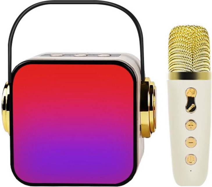 Mini Bluetooth Karaoke Machine 2 Wireless Mics