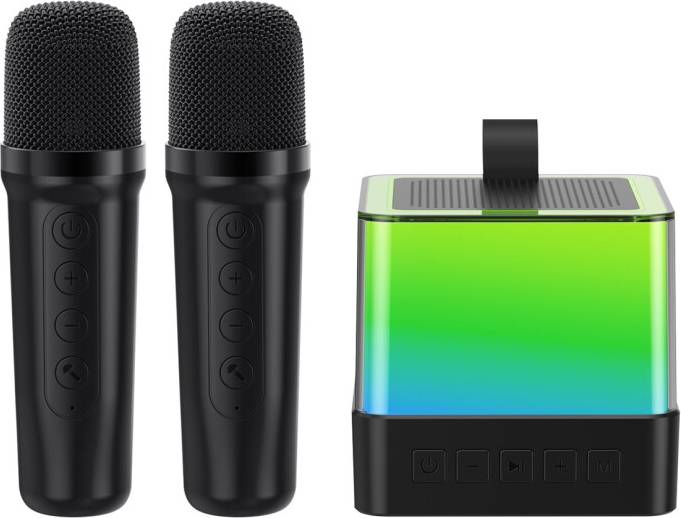 Karaoke Machine Bluetooth 2 Microphones LED Display