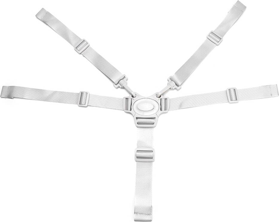Five Point Harness Strap System