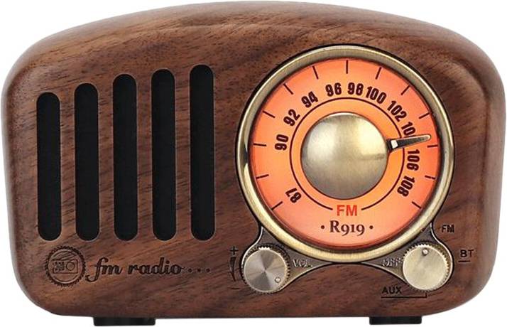 Torribaly R919 Retro FM Radio Speaker