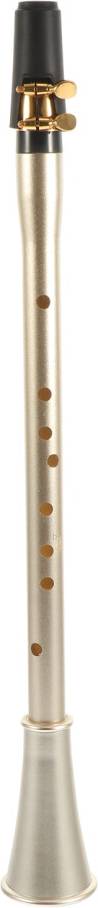 Clarinet Professional Beginner Instrument