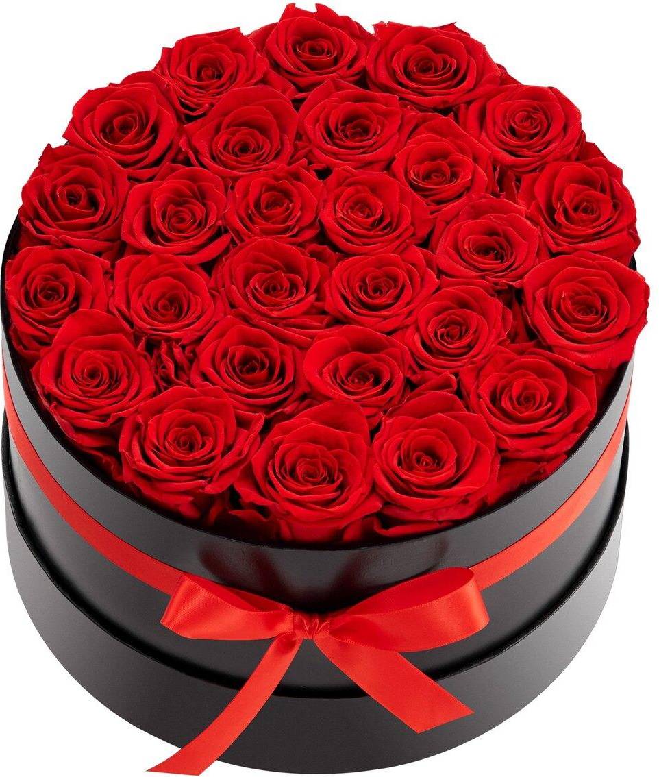 VEVOR 27 Preserved Roses In A Box