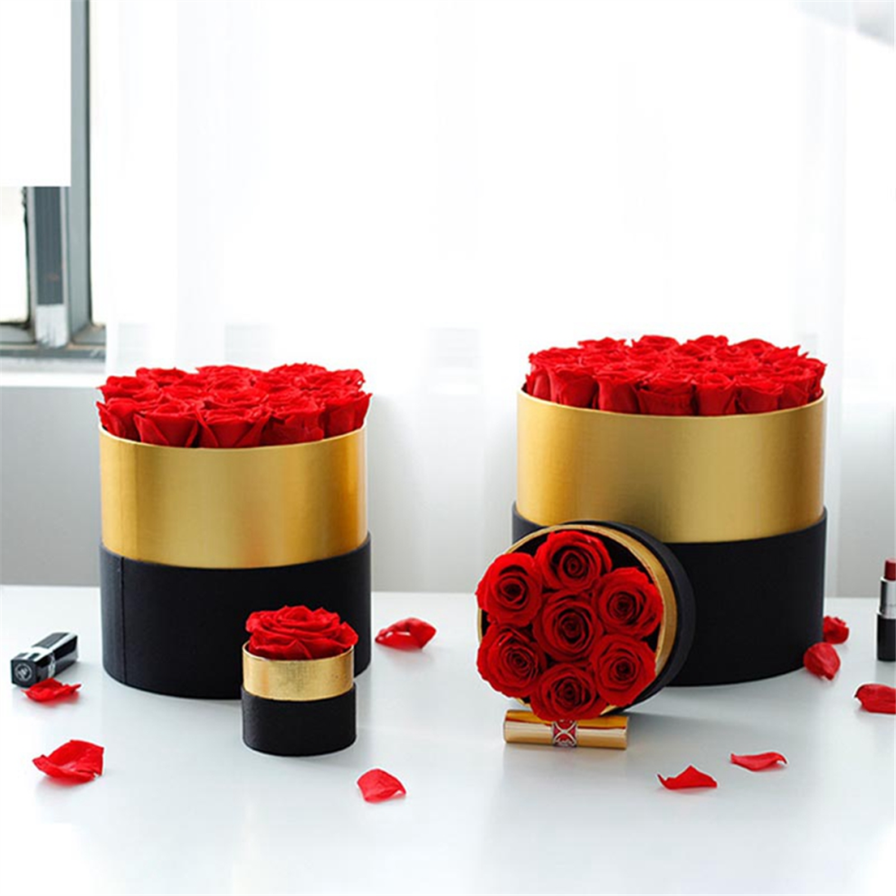 Typecat Romantic Level A Eternal Rose Box Set