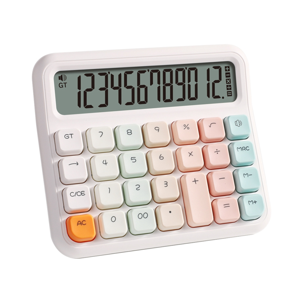 Typecat Desktop Calculator 12-Digit Display