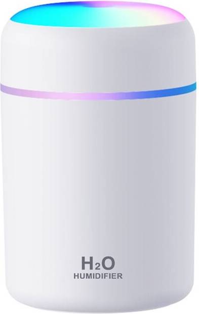 Portable Cool Mist Humidifier 300ml