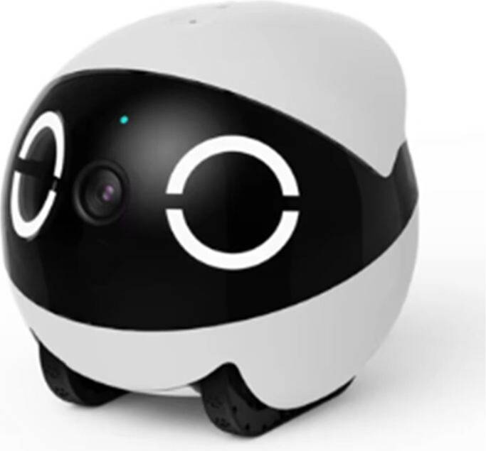 Intelligent Wireless Indoor Robot Remote