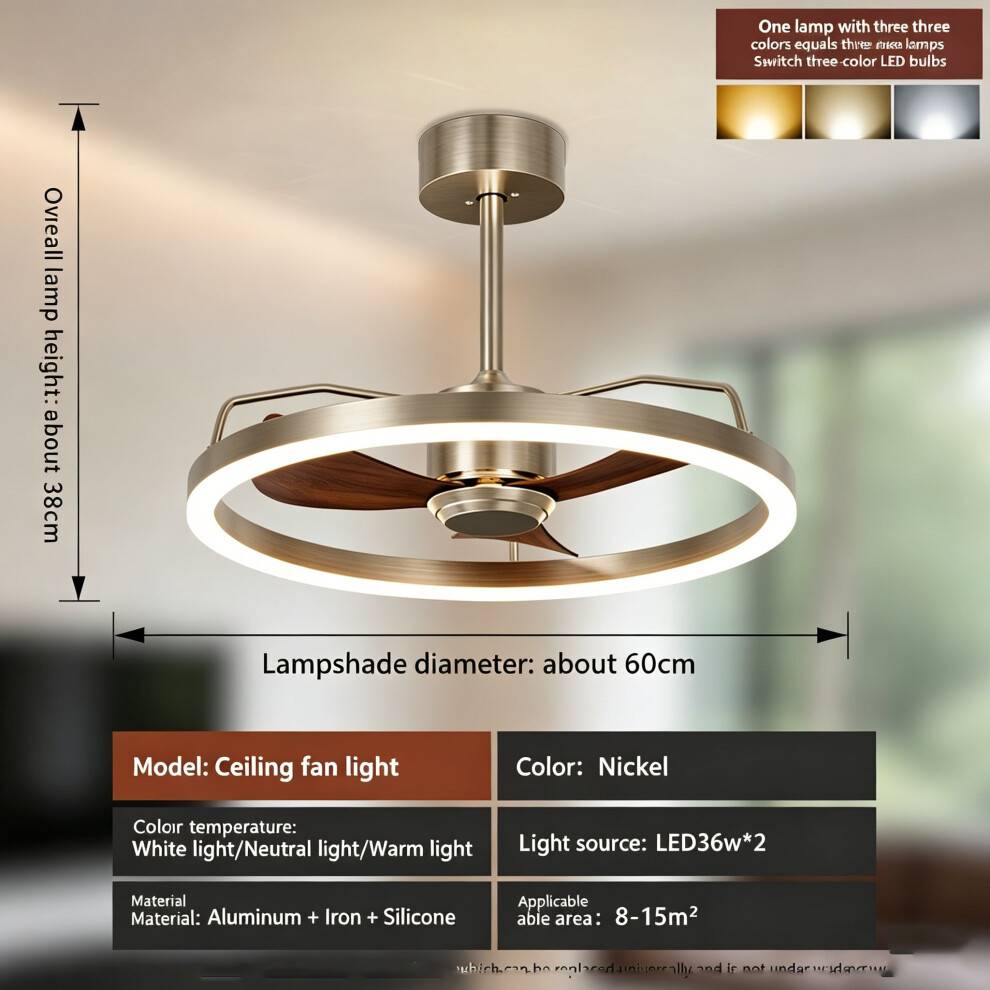 XYLFLY 20 Inch Ceiling Fan with LED Light