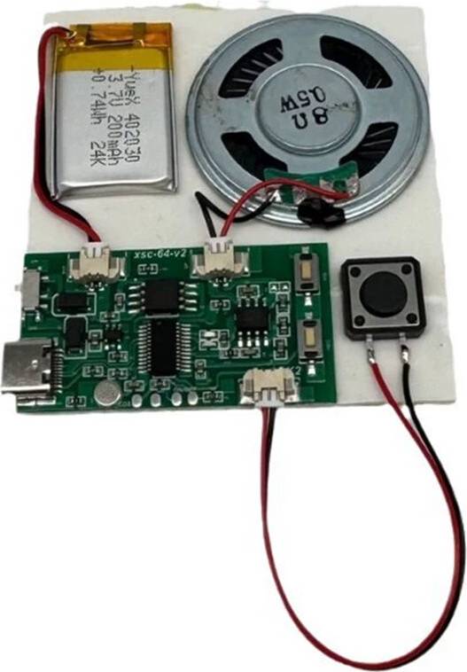 DIY Recording Module USB Recordable