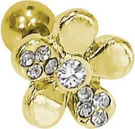 Surgical Steel Cartilage Stud Rings 2 Color