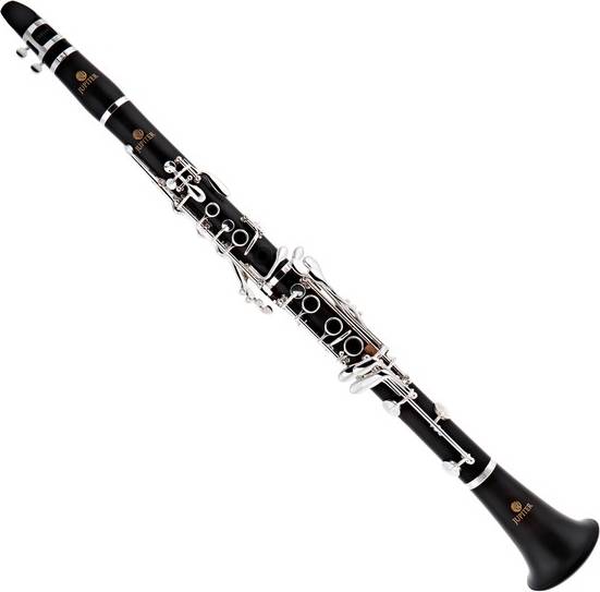 JCL1100DS Advanced Clarinet Overview