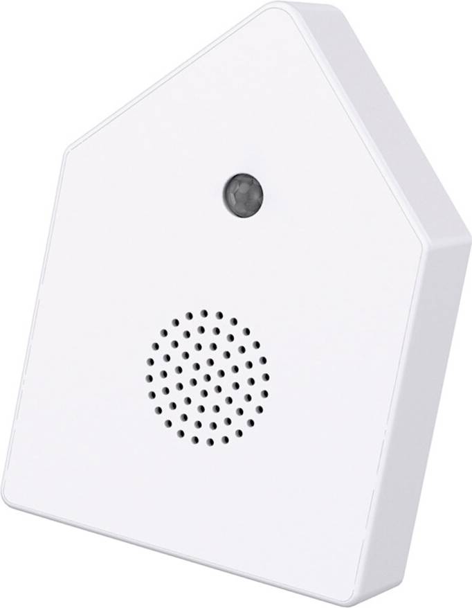 Singing Bird Box with Motion Sensor