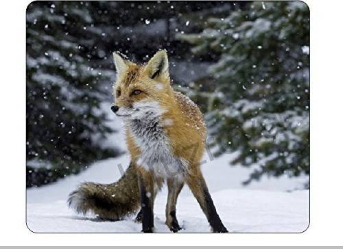 Fox In Snow Wildlife Mousemat