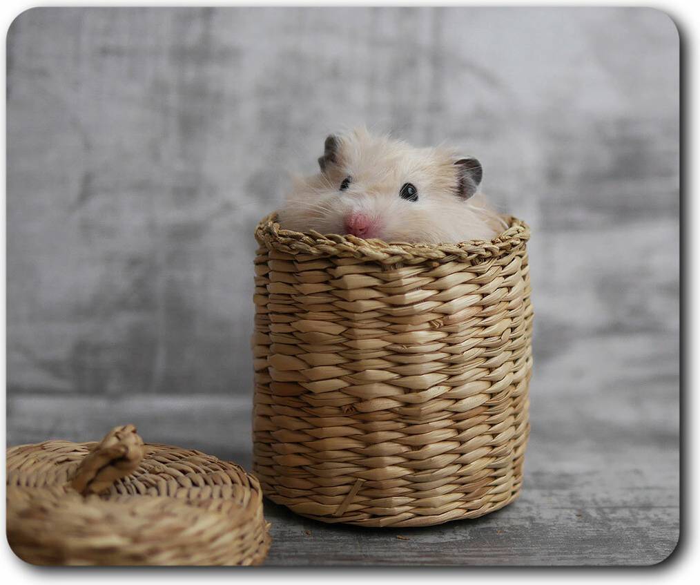 Destination Vinyl Adorable Peeping Hamster Mouse Mat