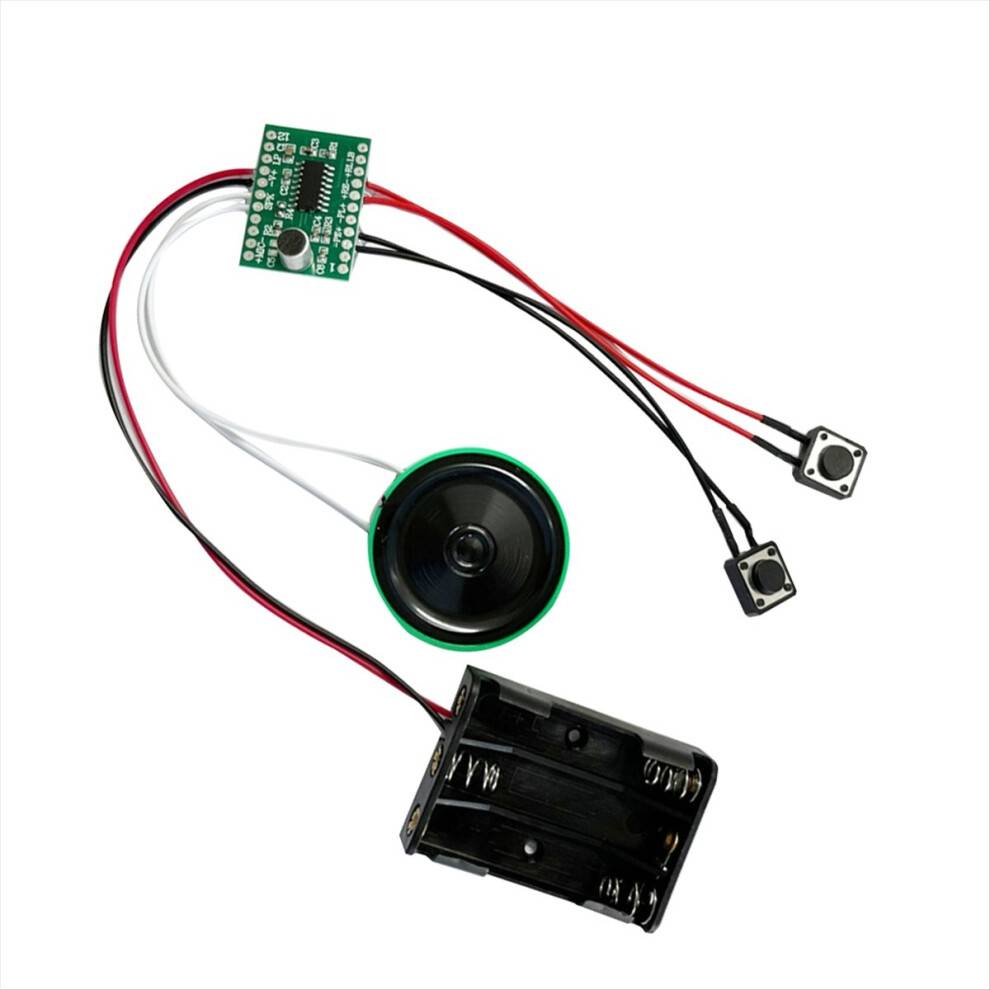 Torribaly 4 Minutes Light Controll Recording Sound Module