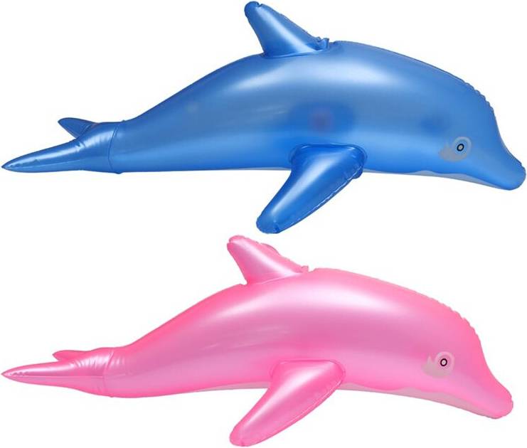 Typecat 2PCS Inflatable Beach Swimming Pool Toys