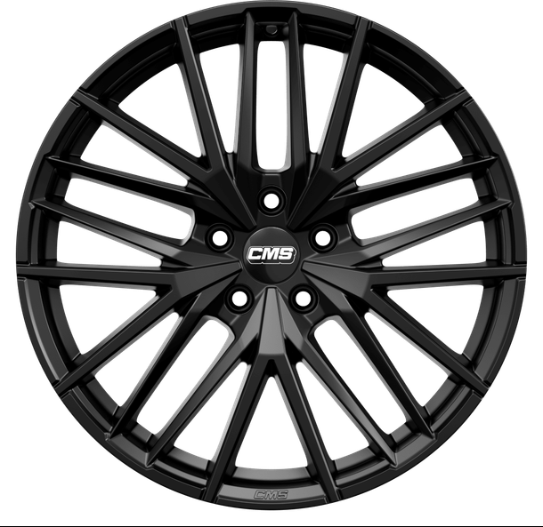 CMS C36