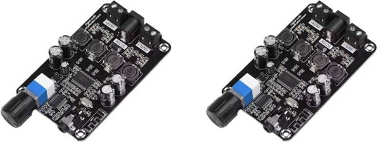 Torribaly 2X 5.0 Digital Audio Power Amplifier Module