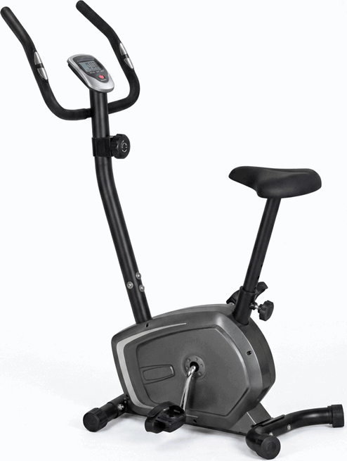 Exercise bike ASG Tour Ride 500 Exercise Bike Silver