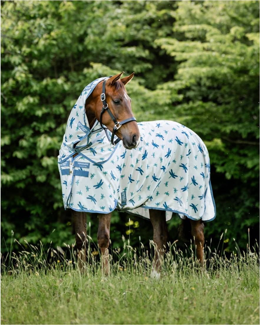 Amigo Bug Rug Plus Fly Rug - Dragonfly Print/Silver Blue/Sage