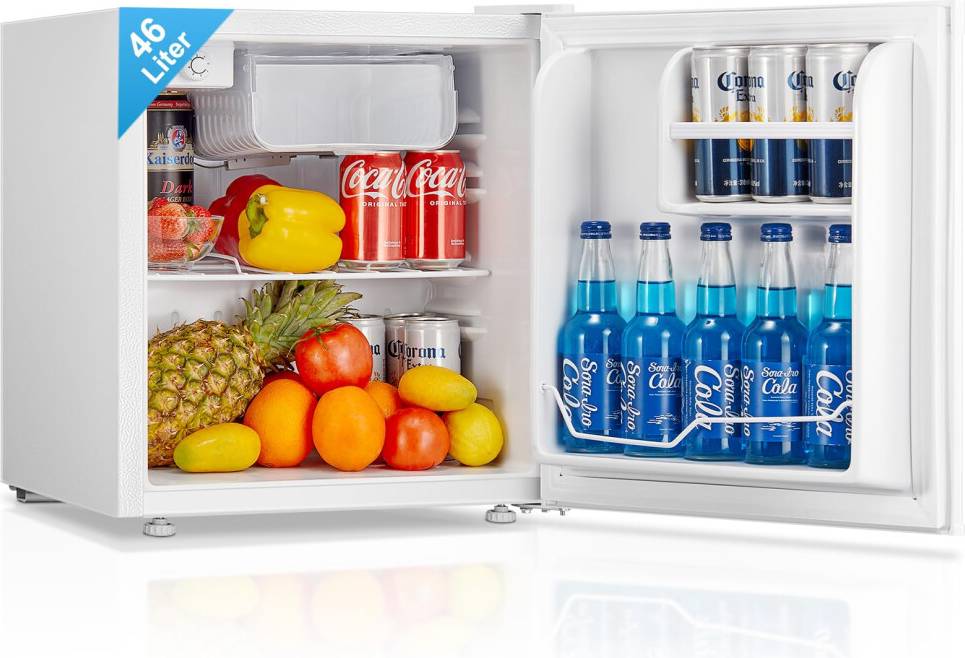 Mini Fridge with Ice Box 46L