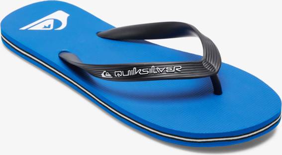 Core Men Flip-Flops - Blue