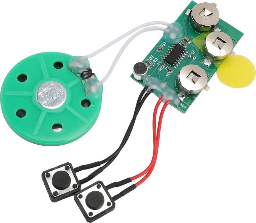 Voice Record Module 120s