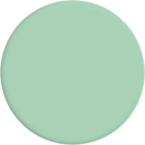 Basic Grip Pastel Mint
